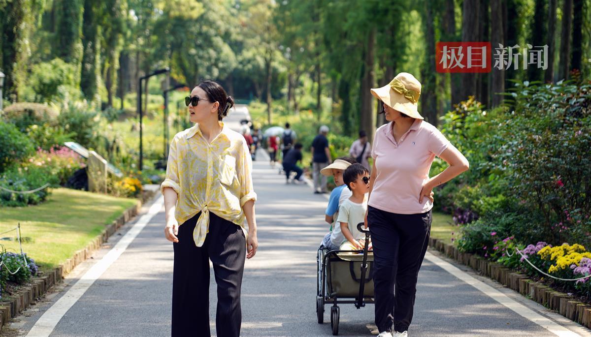 大圣娱乐怎么样